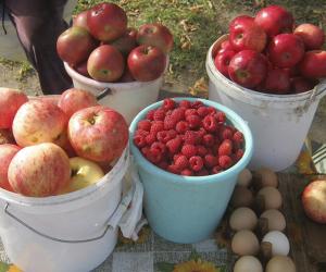 «Немножко того, немножко этого продашь — и нормально». Кто и чем торгует на обочинах автотрасс?