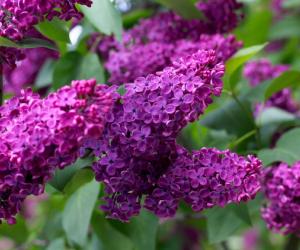 Прагноз надвор'я на тыдзень