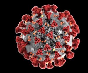 Медыкі, чыноўнікі і пацыенты пра барацьбу з каранавірусам у нашай краіне