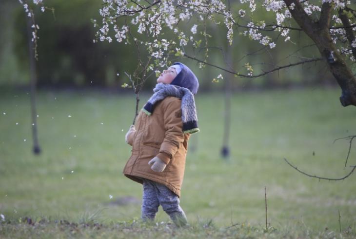 Водар халоднай вясны