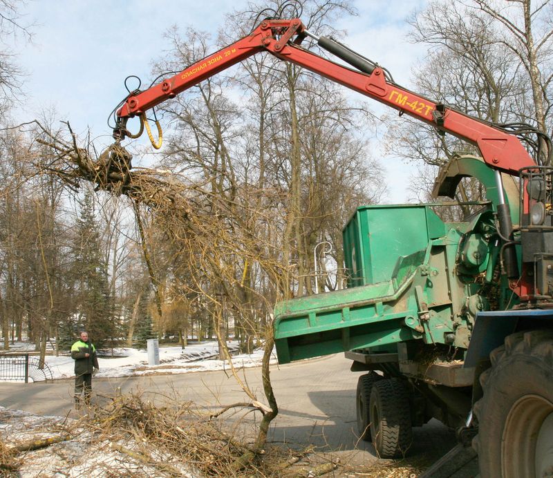 Ад меліярацыі да шкодных раслін. Што будзе зроблена?
