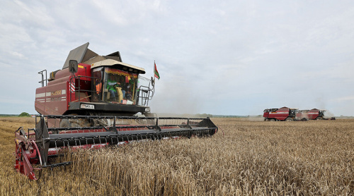 Belarus’ grain harvest reaches 7m tonnes
