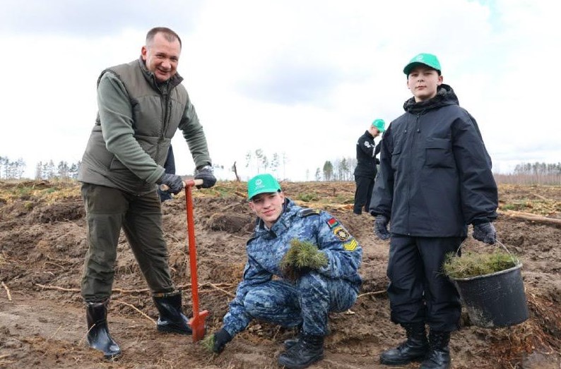 Дэлегацыя МУС прыняла ўдзел у рэспубліканскай акцыі «Дай лесу новае жыццё!»
