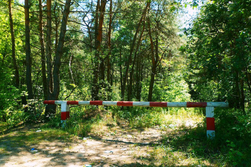 Абмежаванні на наведванне лясоў дзейнічаюць у 86 раёнах Беларусі