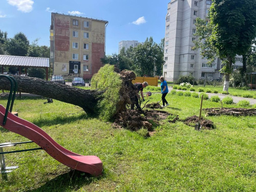 Дэпутаты Магілёўскага гарсавета адпрацоўваюць званкі «гарачай» лініі