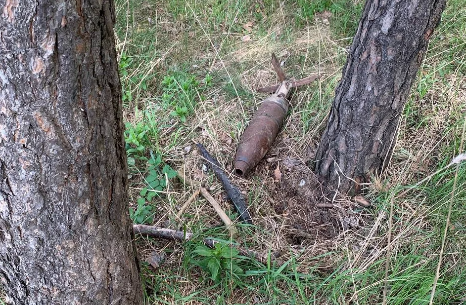 Мінчанін знайшоў падазроны прадмет у лесапарку і выклікаў сапёраў