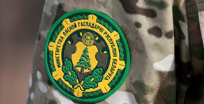 Мінлясгас: задача нумар адзін — падрыхтоўка глебы пад будучыя лесапасадкі