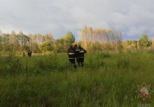 Як не згубіцца ў лесе?