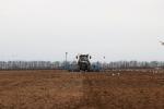 Plans for 2025 planting season in Belarus revealed