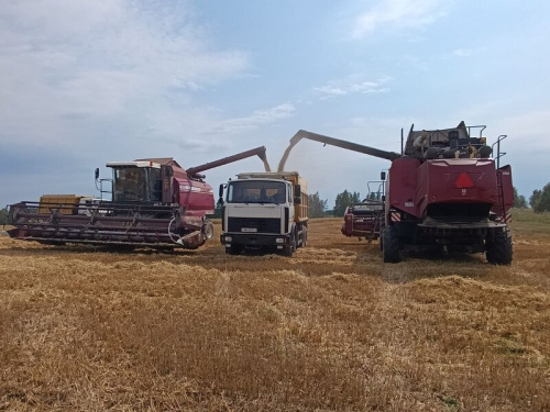 Хлебаробам на ўсходзе краіны дапамагае зводны ўзвод Мінабароны