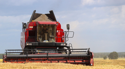 Belarus’ grain harvest 54% complete