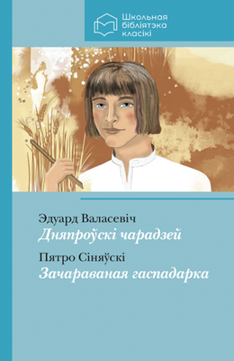 Дняпроўскі чарадзей, Зачараваная гаспадарка