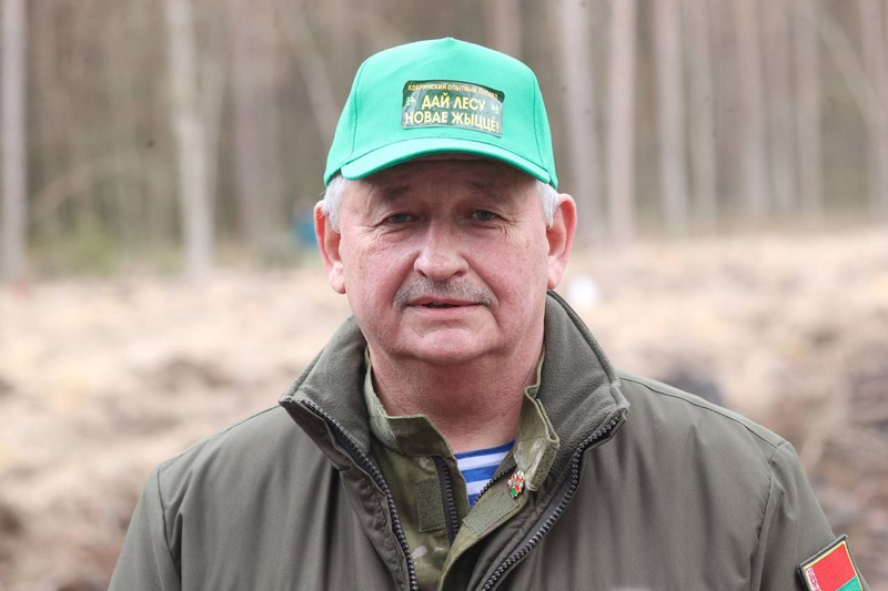 226 гектараў лесу высадзілі на Брэстчыне падчас акцыі «Дай лесу новае жыццё!»