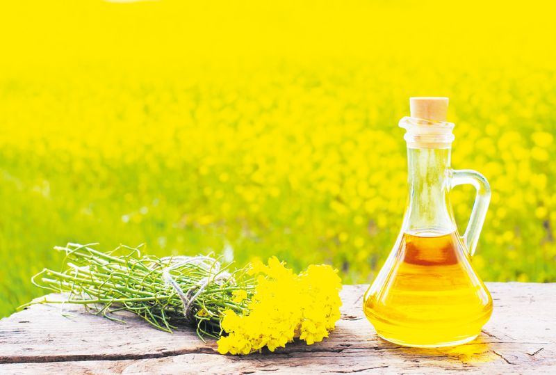 Чаму шлях рапсавага алею ў наш прадуктовы кошык быў доўгім?