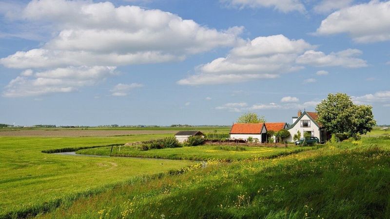 Як працуе «зямельная амністыя»