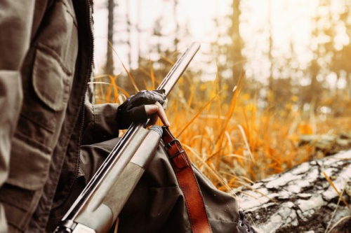 Групу браканьераў затрымалі ў Гомельскай вобласці
