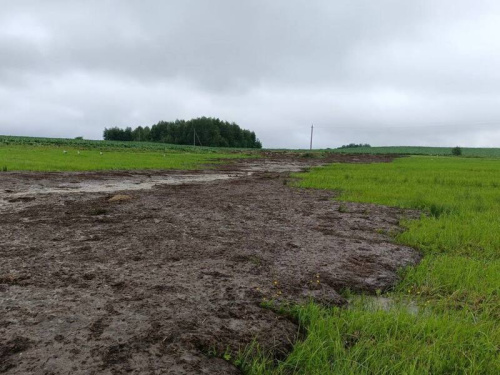 Пад Навагрудкам з-за забруджвання ракі Ятранкі загінула рыба