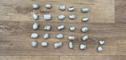 Дзевяцікласніцу затрымалі за распаўсюджанне наркотыкаў у Магілёве