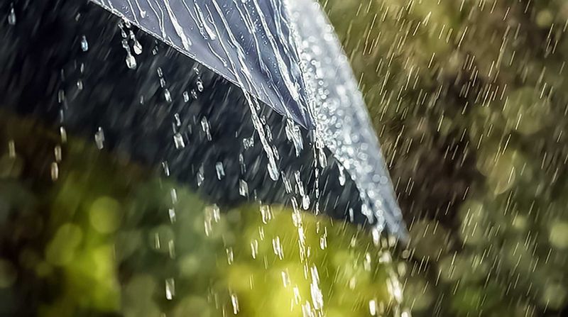 У сераду і чацвер месцамі чакаюцца даволі моцныя ліўні