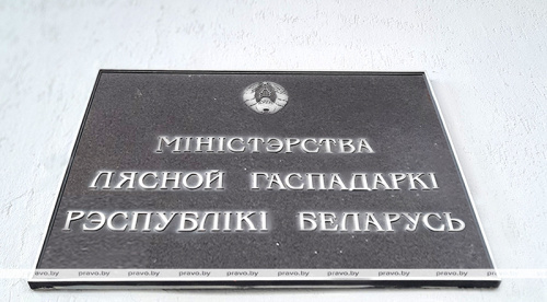 Новый целлюлозно-картонный комбинат построят в Беларуси