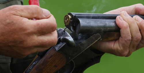 Аўкцыён на права палявання на мядзведзя пройдзе ў Мінску 21 жніўня