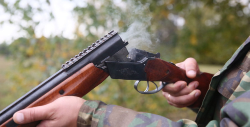 «Папярэдзіць выхад у вёскі і гарады». Чаму ў Беларусі цяпер можна паляваць на рысь і мядзведзя