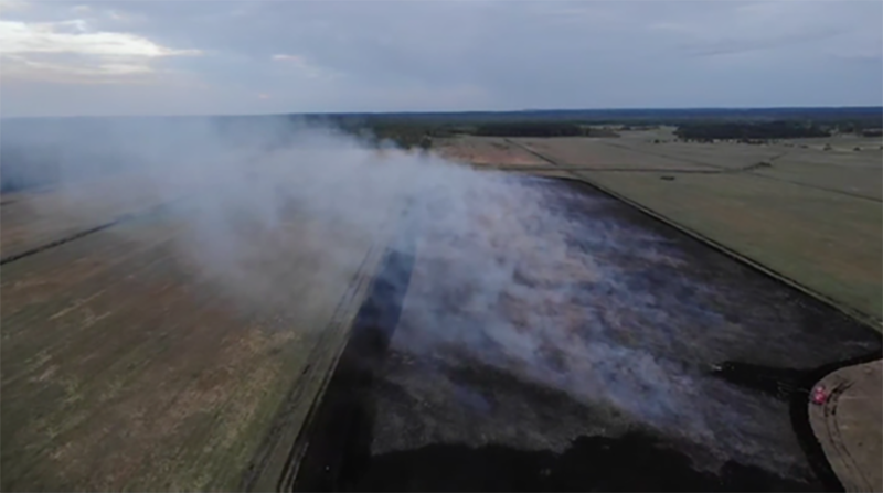 Тарфяны пажар успыхнуў у Карэліцкім раёне