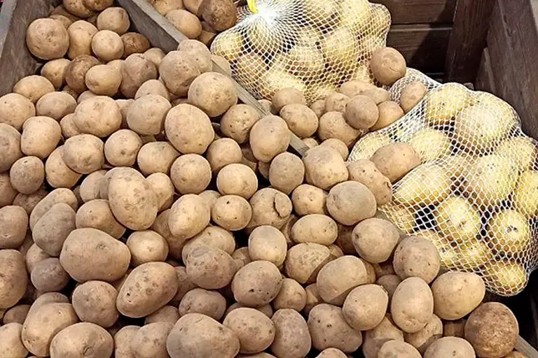 МАРГ знайшоў прычыну, па якой у крамах няма нармальнай бульбы