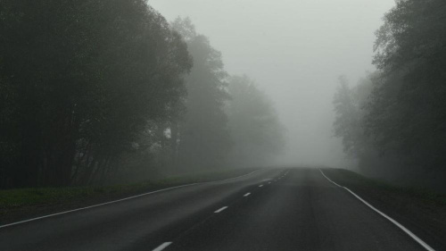 Да +28°С, месцамі навальніцы і туманы. Якім будзе надвор’е ў Беларусі 5 жніўня
