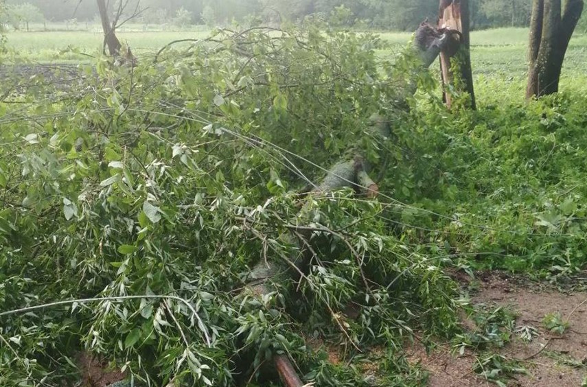 У Мінскай вобласці ліквідуюць наступствы ўчарашняй непагадзі