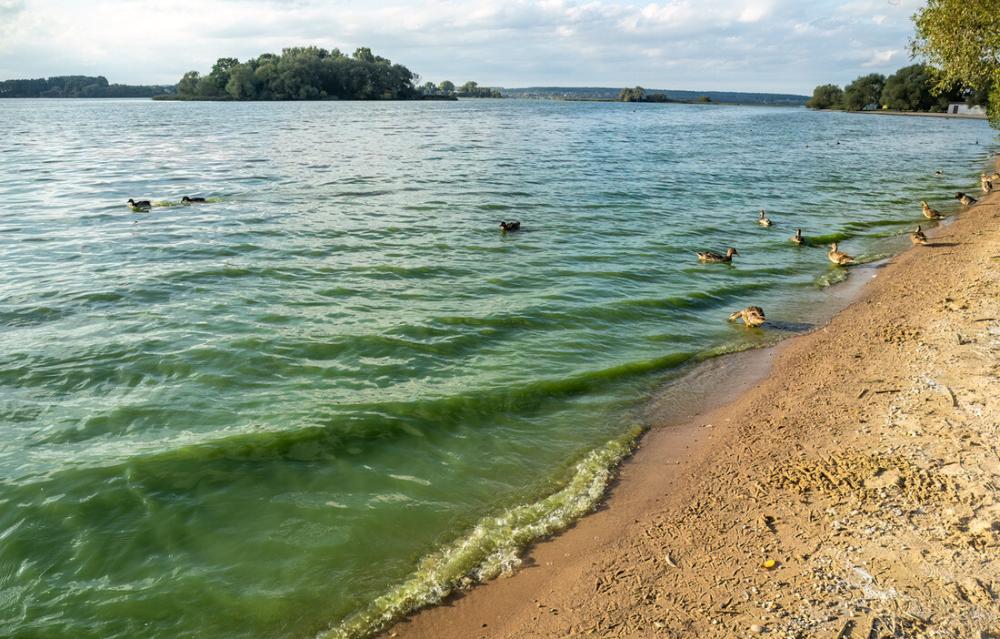 На адным з пляжаў Мінскага мора забаранілі купацца. Чаму?