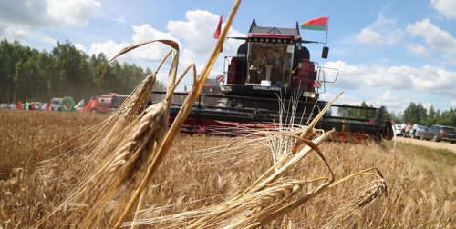 Як у Шклоўскім раёне працуюць над выкананнем даручэнняў Прэзідэнта