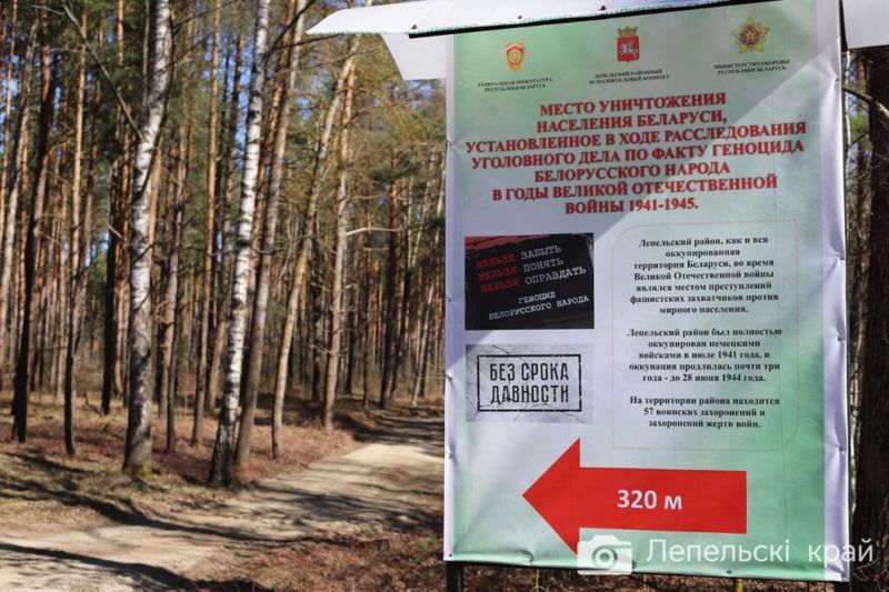 На Віцебшчыне праходзяць маштабныя пошукавыя работы